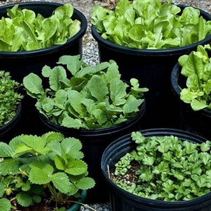 HỆ THỐNG CẤP NHIÊN LIỆU NHÀ MÁY SỨ VIỆT TRÌ